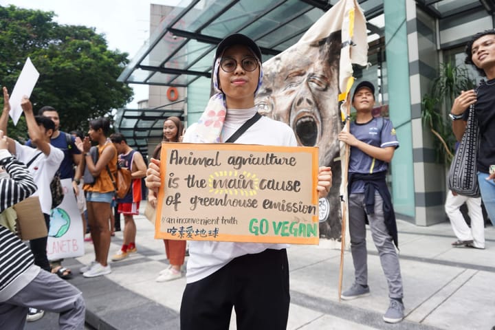 Climate Rally with Klima Action Malaysia (KAMY) #MYClimateRally